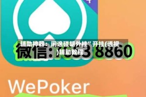 辅助神器：闲逸碰胡外桂”开挂(透视)辅助教程