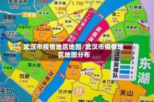武汉市疫情地区地图/武汉市疫情地区地图分布