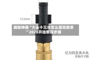 辅助神器“大头十三水怎么提高胜率”2026开挂教程步骤