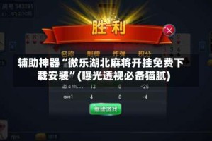 辅助神器“微乐湖北麻将开挂免费下载安装”(曝光透视必备猫腻)