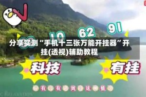 分享实测“手机十三张万能开挂器”开挂(透视)辅助教程