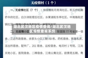 湖北武汉地区疫情查询/湖北武汉地区疫情查询系统