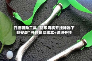 开挂辅助工具“胡乐麻将开挂神器下载安装”开挂辅助脚本+详细开挂