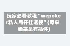玩家必看教程“wepoker私人局开挂透视”(原来确实是有插件)