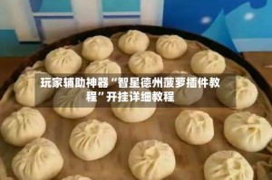 玩家辅助神器“智星德州菠萝插件教程”开挂详细教程