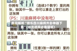 教程解析“微乐四川麻将外卦神器下载”(曝光透视必备猫腻)