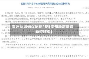 贵州新增确诊病例1例(贵州新增确诊新型肺炎)