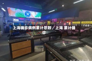 上海确诊病例累计总数／上海 累计确诊