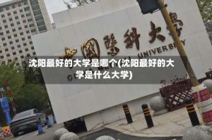 沈阳最好的大学是哪个(沈阳最好的大学是什么大学)