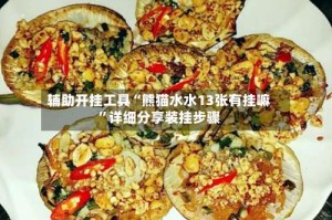 辅助开挂工具“熊猫水水13张有挂嘛”详细分享装挂步骤