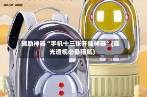 辅助神器“手机十三张开挂神器”(曝光透视必备猫腻)