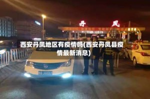 西安丹凤地区有疫情吗(西安丹凤县疫情最新消息)