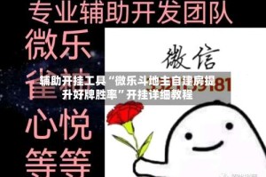辅助开挂工具“微乐斗地主自建房提升好牌胜率”开挂详细教程