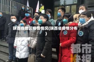 陕西各地区疫情情况(陕西省疫情分布)