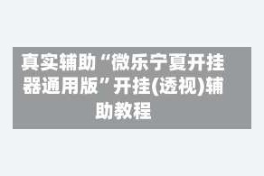 真实辅助“微乐宁夏开挂器通用版”开挂(透视)辅助教程