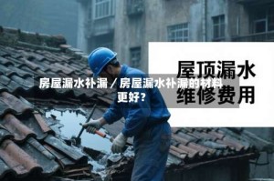 房屋漏水补漏／房屋漏水补漏的材料更好？