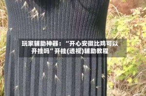 玩家辅助神器：“开心安徽比鸡可以开挂吗”开挂(透视)辅助教程