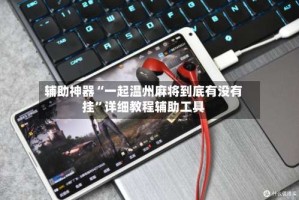 辅助神器“一起温州麻将到底有没有挂”详细教程辅助工具