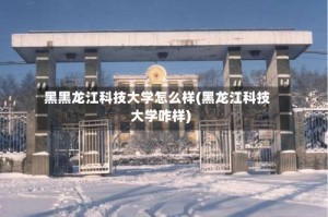 黑黑龙江科技大学怎么样(黑龙江科技大学咋样)