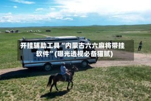 开挂辅助工具“内蒙古六六麻将带挂软件”(曝光透视必备猫腻)