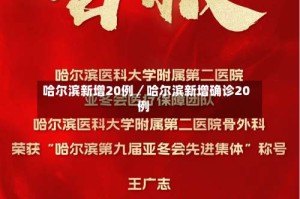 哈尔滨新增20例／哈尔滨新增确诊20例