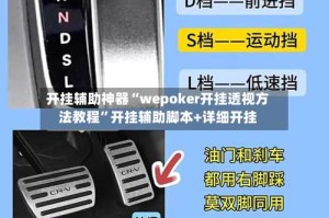 开挂辅助神器“wepoker开挂透视方法教程”开挂辅助脚本+详细开挂
