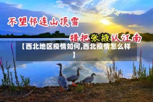 【西北地区疫情如何,西北疫情怎么样】