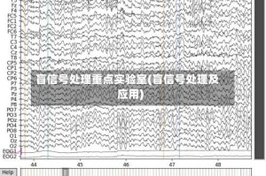盲信号处理重点实验室(盲信号处理及应用)