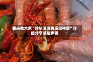 我来教大家“哈尔滨麻将漏宝神器”详细分享装挂步骤