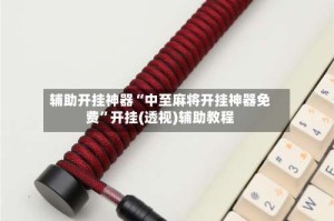 辅助开挂神器“中至麻将开挂神器免费”开挂(透视)辅助教程