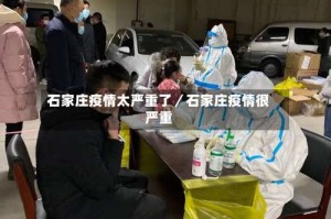 石家庄疫情太严重了／石家庄疫情很严重