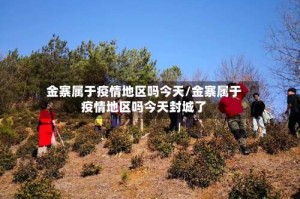 金寨属于疫情地区吗今天/金寨属于疫情地区吗今天封城了