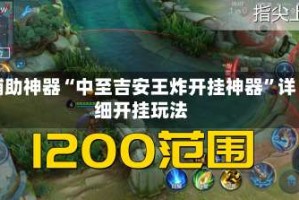 辅助神器“中至吉安王炸开挂神器”详细开挂玩法