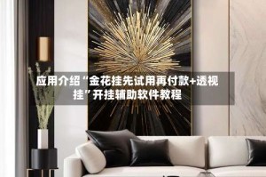 应用介绍“金花挂先试用再付款+透视挂”开挂辅助软件教程