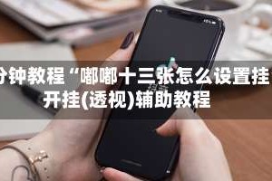 3分钟教程“嘟嘟十三张怎么设置挂”开挂(透视)辅助教程