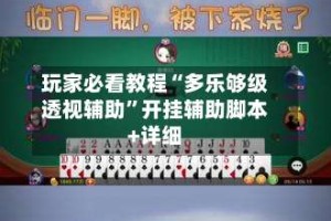 玩家必看教程“多乐够级透视辅助”开挂辅助脚本+详细