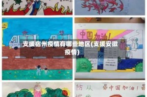 支援宿州疫情有哪些地区(支援安徽疫情)