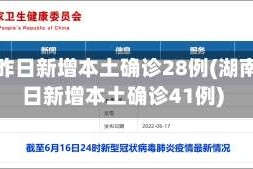 湖南昨日新增本土确诊28例(湖南昨日新增本土确诊41例)
