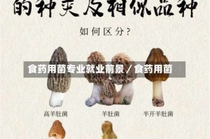 食药用菌专业就业前景／食药用菌