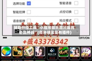 辅助开挂工具“小程序微乐四川麻将必赢神器”(原来确实是有插件)