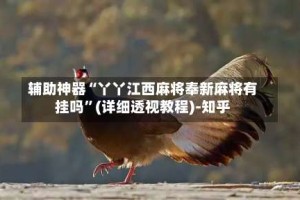 辅助神器“丫丫江西麻将奉新麻将有挂吗”(详细透视教程)-知乎