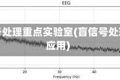 盲信号处理重点实验室(盲信号处理及应用)