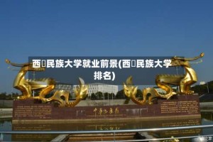 西蔵民族大学就业前景(西蔵民族大学排名)