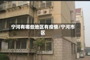 宁河有哪些地区有疫情/宁河市区
