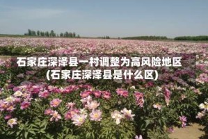 石家庄深泽县一村调整为高风险地区(石家庄深泽县是什么区)