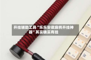 开挂辅助工具“乐乐安徽麻将开挂神器”其实确实有挂