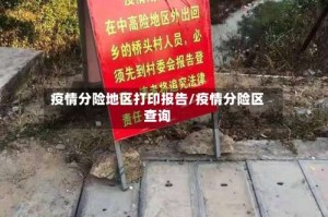 疫情分险地区打印报告/疫情分险区查询