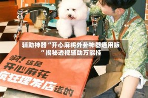 辅助神器“开心麻将外卦神器通用版”揭秘透视辅助万能挂