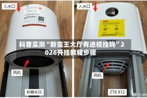 科普实测“新蛮王大厅有透视挂吗”2026开挂教程步骤