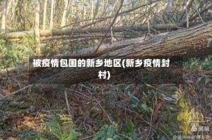 被疫情包围的新乡地区(新乡疫情封村)